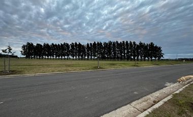 Terreno en venta en Ecolagos, Lote 129, General lagos