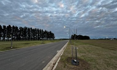 Terreno en venta en Ecolagos, Lote 129, General lagos