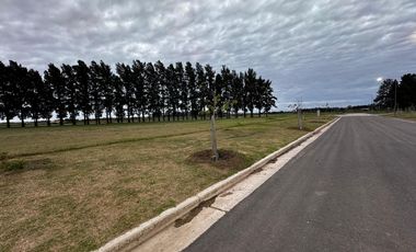 Terreno en venta en Ecolagos, Lote 129, General lagos
