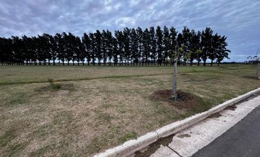 Terreno en venta en Ecolagos, Lote 129, General lagos