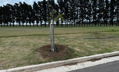 Terreno en venta en Ecolagos, Lote 129, General lagos