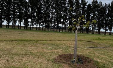 Terreno en venta en Ecolagos, Lote 129, General lagos
