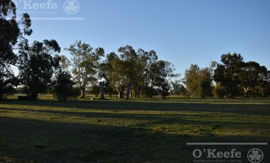 Chacra en venta 39 has Florencio Varela
