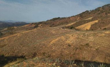 RANCHO AGAVERO  DENOMINACION DE ORIGEN 30HAS EN XALISCO, NAYARIT