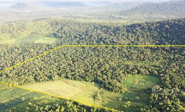 Chacra en Venta de 49 Ha en Aristóbulo del Valle