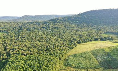Chacra en Venta de 49 Ha en Aristóbulo del Valle