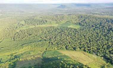 Chacra en Venta de 49 Ha en Aristóbulo del Valle