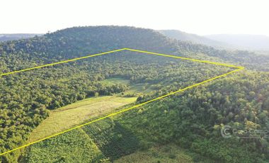 Chacra en Venta de 49 Ha en Aristóbulo del Valle