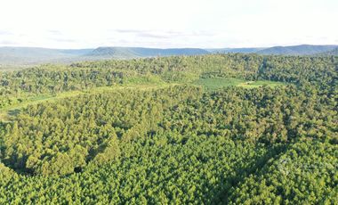 Chacra en Venta de 49 Ha en Aristóbulo del Valle
