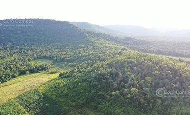 Chacra en Venta de 49 Ha en Aristóbulo del Valle