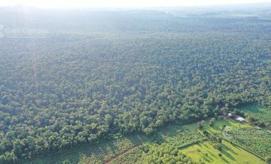 Chacra en Venta de 49 Ha en Aristóbulo del Valle