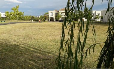Lote a LA LAGUNA en venta en Los Alisos - Nordelta
