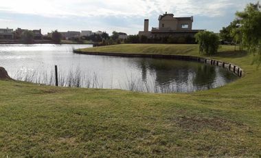 Lote a LA LAGUNA en venta en Los Alisos - Nordelta