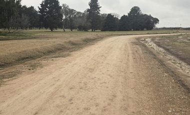 Terreno en venta - 600Mts2 - Country El Paraíso, Guernica