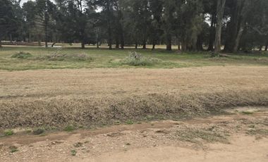 Terreno en venta - 600Mts2 - Country El Paraíso, Guernica