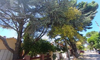 2 Casas en lote de 1000m2, excelente parque!!