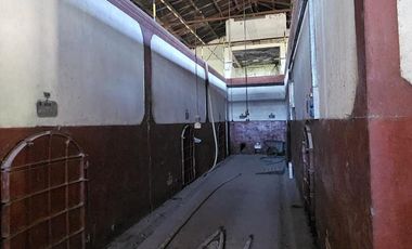 Importante propiedad comercial a metros de Av. Mitre (ex bodega)