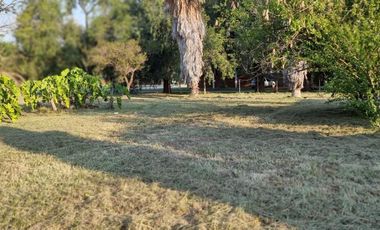 Terreno en Ricardone