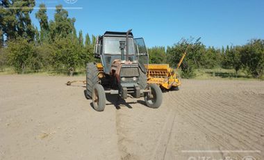 Chacra de 26 has en Mendoza, Gral Alvear.   hoteleria de animales y producción Forrajera.