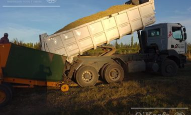 Chacra de 26 has en Mendoza, Gral Alvear.   hoteleria de animales y producción Forrajera.