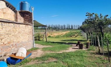 Chacra de 26 has en Mendoza, Gral Alvear.   hoteleria de animales y producción Forrajera.
