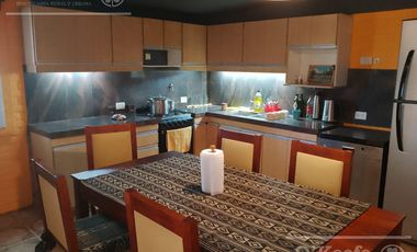 Chacra de 26 has en Mendoza, Gral Alvear.   hoteleria de animales y producción Forrajera.