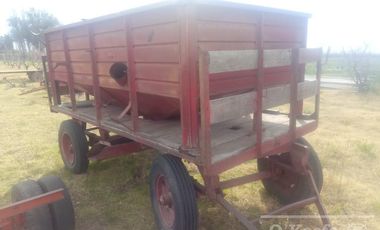Chacra de 26 has en Mendoza, Gral Alvear.   hoteleria de animales y producción Forrajera.