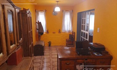 Chacra de 26 has en Mendoza, Gral Alvear.   hoteleria de animales y producción Forrajera.