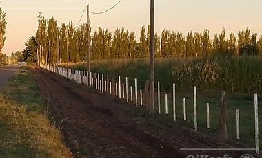 Chacra de 26 has en Mendoza, Gral Alvear.   hoteleria de animales y producción Forrajera.