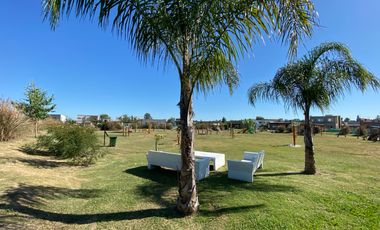 Terreno - Santa Elena