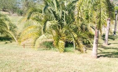 Chacra en Puerto Panal Club de Campo (consultar precio alquiler)