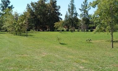 Chacra en Puerto Panal Club de Campo (consultar precio alquiler)