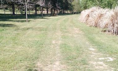 Chacra en Puerto Panal Club de Campo (consultar precio alquiler)