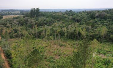 Chacra en Venta de 25ha en Olegario Victor Andrade