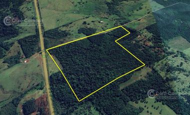 Chacra en Venta de 25ha en Olegario Victor Andrade