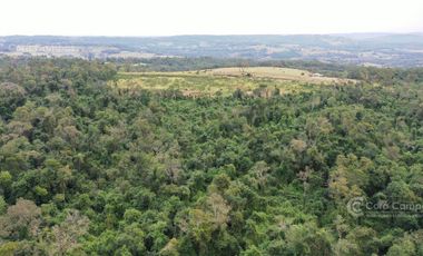 Chacra en Venta de 25ha en Olegario Victor Andrade