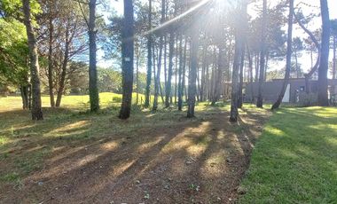 Casa en Isla del Golf Pinamar 