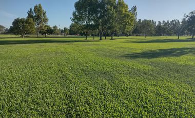 Chacra en El Aduar