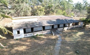 Finca en  Los Alisos