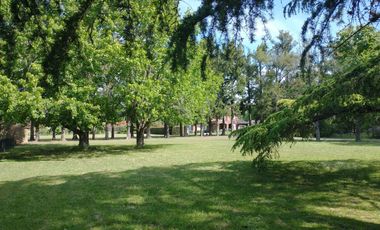 Terreno en  La Otilia