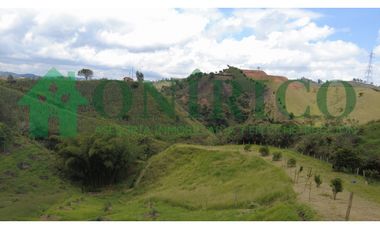 FINCA EN VENTA EN MARINILLA