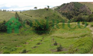 FINCA EN VENTA EN MARINILLA