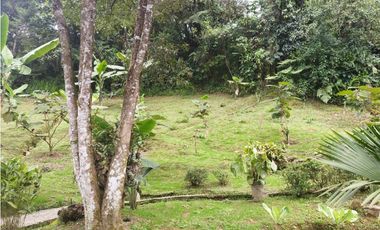 LOTE FINCA CALDAS ANTIOQUIA EXCENTE UBICACION