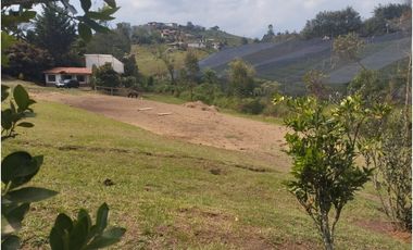 Venta finca independiente en el casco rural del CARMEN
