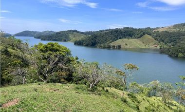 Lotes en venta en San Roque, Antioquia.