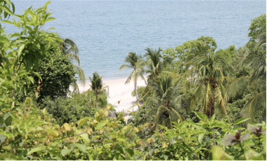 VENDO TERRENO COCLE