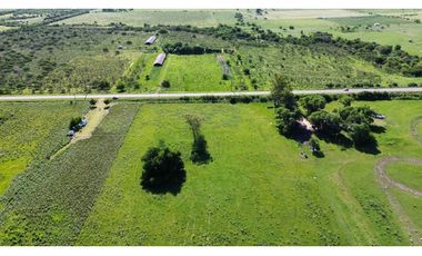 Vendo Campo de 3 Hectáreas en San Justo, Entre Ríos.