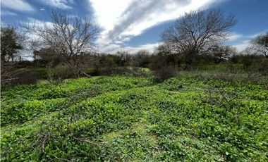 Vendo Campo de 3 Hectáreas en San Justo, Entre Ríos.