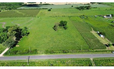 Vendo Campo de 3 Hectáreas en San Justo, Entre Ríos.