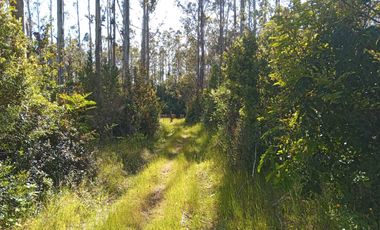 Parcela en venta en VALDIVIA